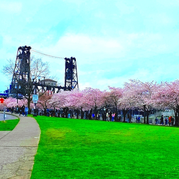 Meet your Posher, Trina - Picture 1 of 1